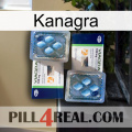 Kanagra viagra5